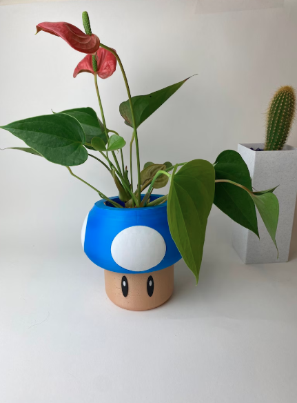 Pot de fleurs | 2 tailles